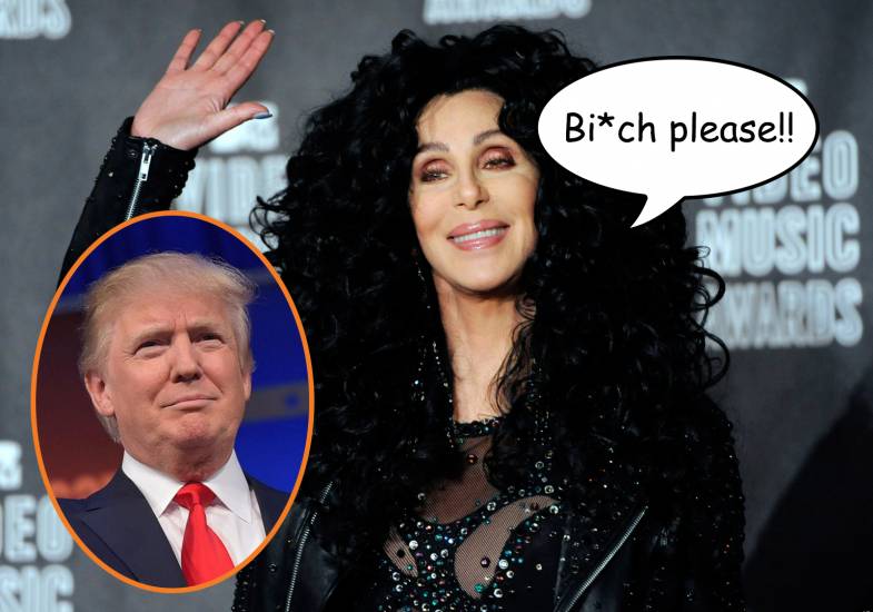 Cher Making Fun Of Donald Trump