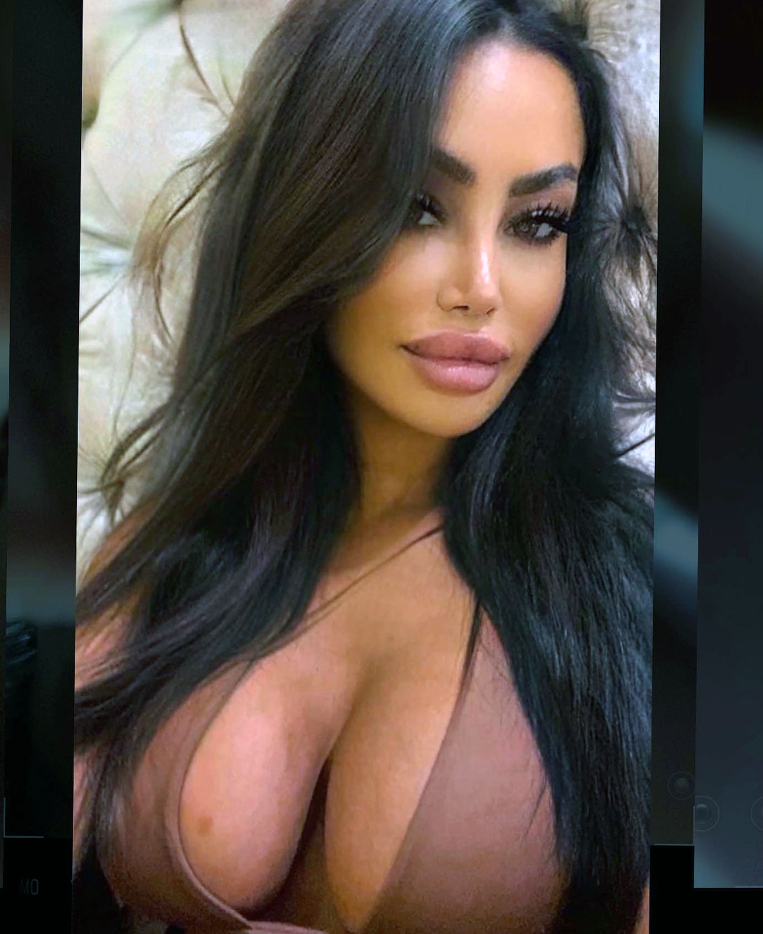 Tabby brown playboy pics